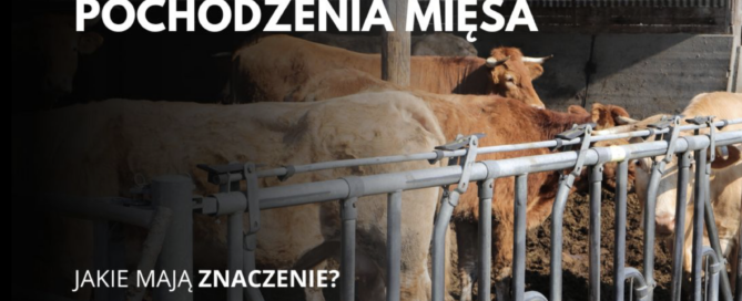źródła pochodzenia mięsa dostarczanego przez Dewit